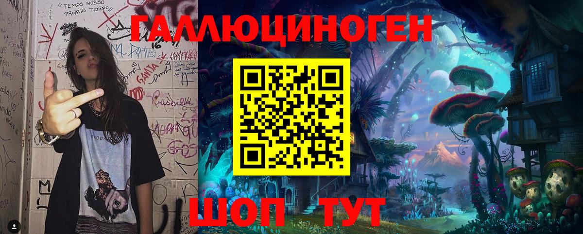 где можно купить   Псилоцибиновые грибы Magic Shrooms  Щёлково  Вход с VPN  Псилоцибиновые грибы Cubensis 